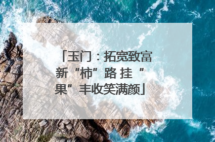 玉门：拓宽致富新“柿”路 挂“果”丰收笑满颜