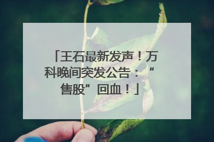 王石最新发声！万科晚间突发公告：“售股”回血！