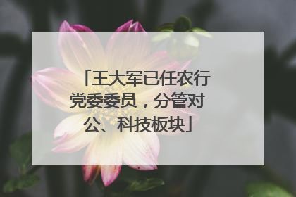 王大军已任农行党委委员，分管对公、科技板块