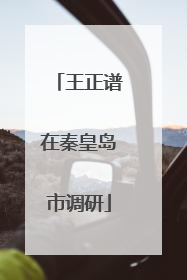 王正谱在秦皇岛市调研