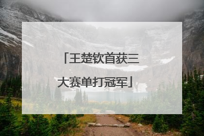 王楚钦首获三大赛单打冠军