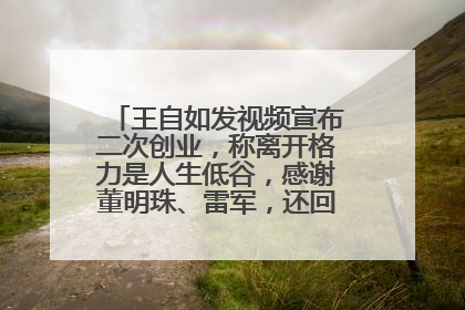 王自如发视频宣布二次创业，称离开格力是人生低谷，感谢董明珠、雷军，还回应了“工资条”：清楚自己要什么……