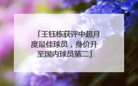 王钰栋获评中超月度最佳球员，身价升至国内球员第二