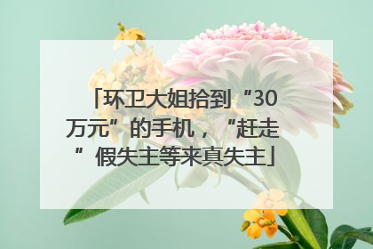 环卫大姐拾到“30万元”的手机，“赶走”假失主等来真失主
