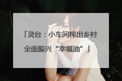 灵台：小车间榨出乡村全面振兴“幸福油”