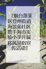 烟台蓬莱区登州街道海景苑社区携手海市实验小学开展移风易俗宣传活动