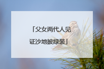 父女两代人见证沙地披绿装