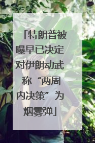特朗普被曝早已决定对伊朗动武 称“两周内决策”为烟雾弹