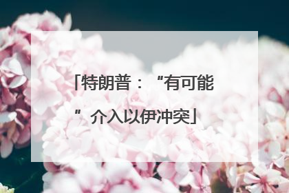 特朗普：“有可能”介入以伊冲突