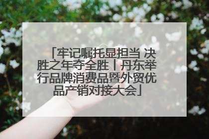 牢记嘱托显担当 决胜之年夺全胜丨丹东举行品牌消费品暨外贸优品产销对接大会