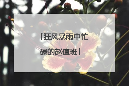 狂风暴雨中忙碌的赵值班