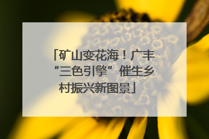 矿山变花海！广丰“三色引擎”催生乡村振兴新图景