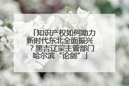 知识产权如何助力新时代东北全面振兴？黑吉辽蒙主管部门哈尔滨“论剑”
