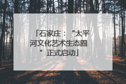 石家庄：“太平河文化艺术生态圈”正式启动