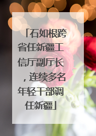 石如根跨省任新疆工信厅副厅长，连续多名年轻干部调任新疆