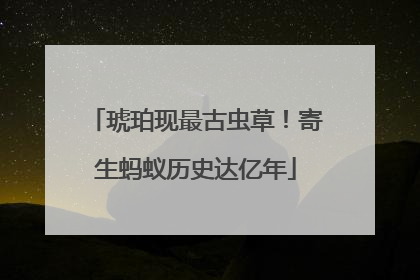 琥珀现最古虫草！寄生蚂蚁历史达亿年