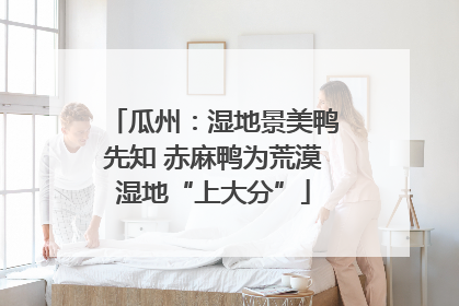 瓜州：湿地景美鸭先知 赤麻鸭为荒漠湿地“上大分”