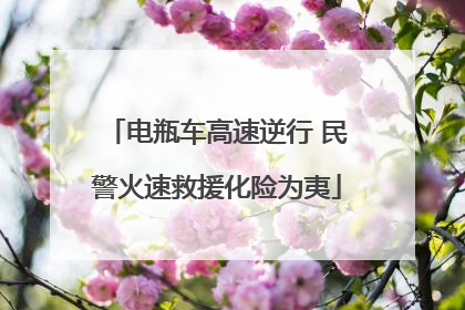 电瓶车高速逆行 民警火速救援化险为夷