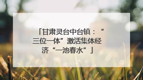 甘肃灵台中台镇：“三位一体”激活集体经济“一池春水”