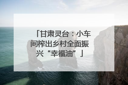 甘肃灵台：小车间榨出乡村全面振兴“幸福油”