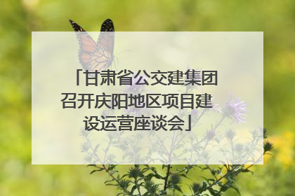 甘肃省公交建集团召开庆阳地区项目建设运营座谈会