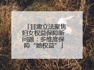 甘肃立法聚焦妇女权益保障新问题：多维度保障“她权益”