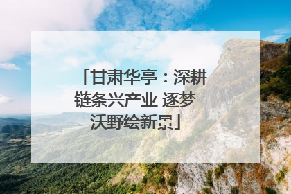 甘肃华亭：深耕链条兴产业 逐梦沃野绘新景