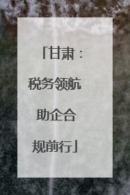 甘肃：税务领航 助企合规前行