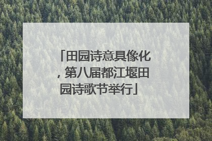 田园诗意具像化，第八届都江堰田园诗歌节举行