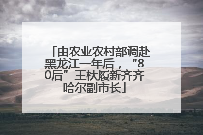 由农业农村部调赴黑龙江一年后，“80后”王杕履新齐齐哈尔副市长