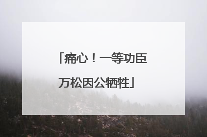 痛心！一等功臣万松因公牺牲