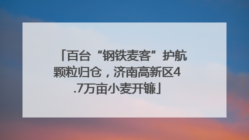 百台“钢铁麦客”护航颗粒归仓，济南高新区4.7万亩小麦开镰