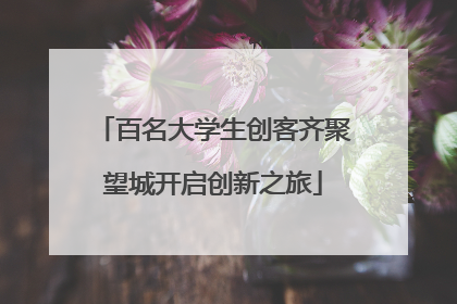 百名大学生创客齐聚望城开启创新之旅