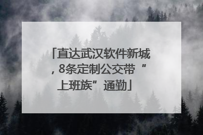 直达武汉软件新城，8条定制公交带“上班族”通勤