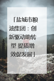 盐城市粮油集团：创新驱动助转型 提质增效促发展