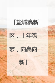 盐城高新区：十年筑梦，向高向新