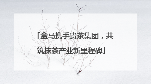 盒马携手贵茶集团，共筑抹茶产业新里程碑