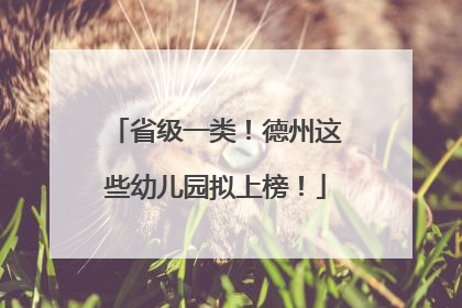 省级一类！德州这些幼儿园拟上榜！