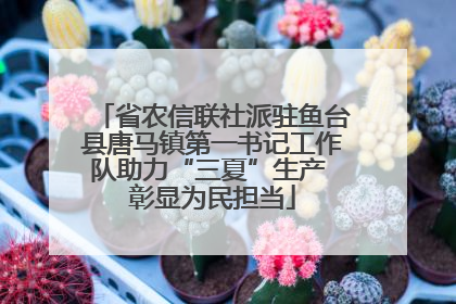 省农信联社派驻鱼台县唐马镇第一书记工作队助力“三夏”生产 彰显为民担当