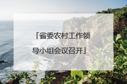 省委农村工作领导小组会议召开