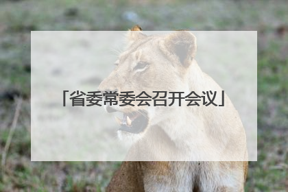 省委常委会召开会议