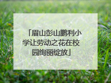 眉山彭山鹏利小学让劳动之花在校园绚丽绽放