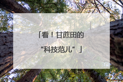 看！甘蔗田的“科技范儿”