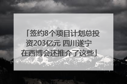 签约8个项目计划总投资203亿元 四川遂宁在西博会还推介了这些