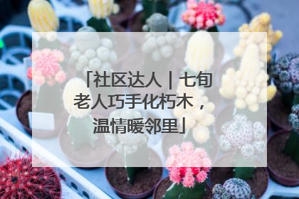 社区达人｜七旬老人巧手化朽木，温情暖邻里