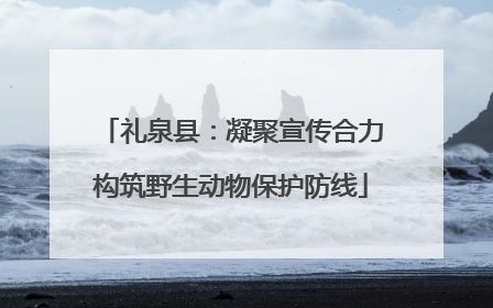礼泉县：凝聚宣传合力构筑野生动物保护防线