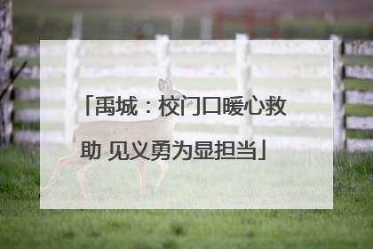 禹城：校门口暖心救助 见义勇为显担当