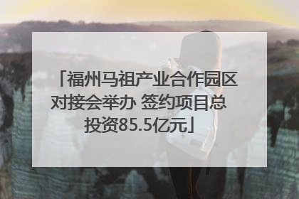 福州马祖产业合作园区对接会举办 签约项目总投资85.5亿元