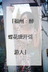 福州：醉蝶花盛开引游人
