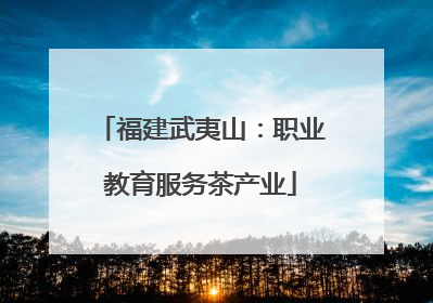 福建武夷山：职业教育服务茶产业